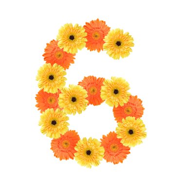 sayı 6 çiçek tarafından oluşturulmuş