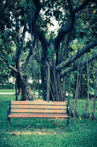 Bench in the park — Stock Photo, Image