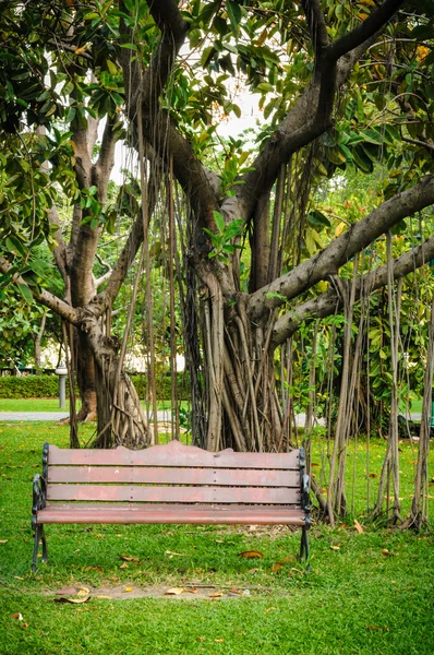 Bench in the park — Stock Photo, Image