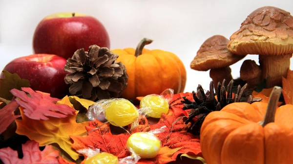 Fall Season Still Life — Stock Photo, Image