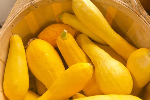 Calabaza de verano amarillo — Foto de Stock