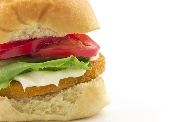 Sandwich de pollo Patty — Foto de Stock