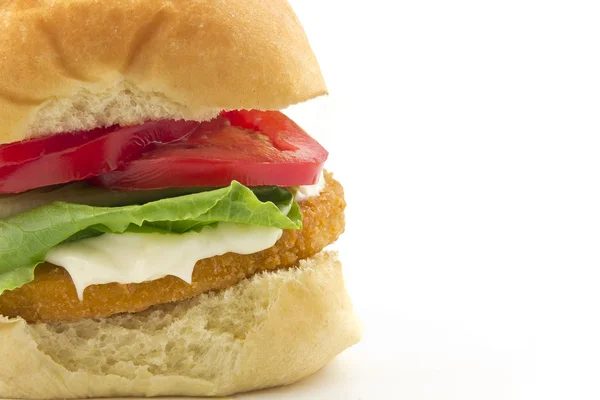 Pollo Patty Sandwich — Foto Stock