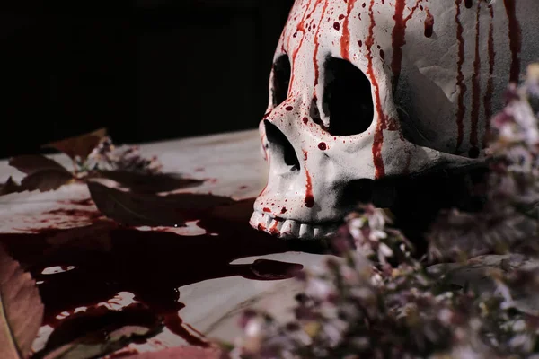Krvavé Podzimní Období Dovolená Dekorace Halloween Lebka — Stock fotografie