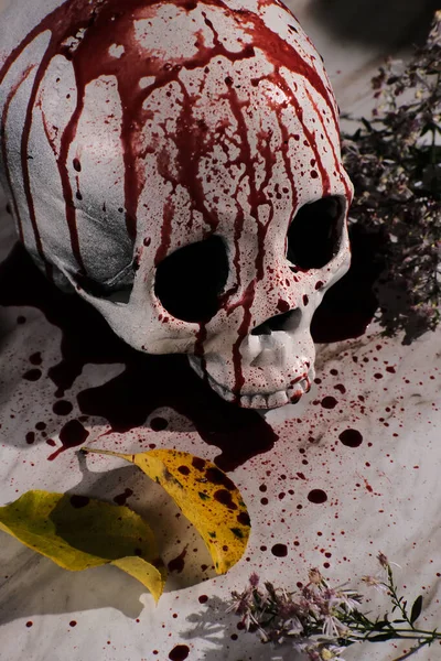 Bloody Otoño Temporada Vacaciones Decoración Halloween Cráneo —  Fotos de Stock