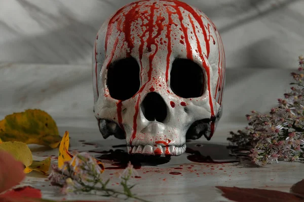 血の秋の休日の装飾ハロウィン頭蓋骨 — ストック写真