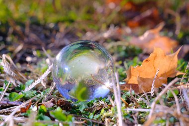 Macro falcıları yakın plan sihirli cam kristal küre doğada