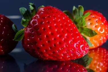 Koyu mavi arka planda taze olgun çilekler.