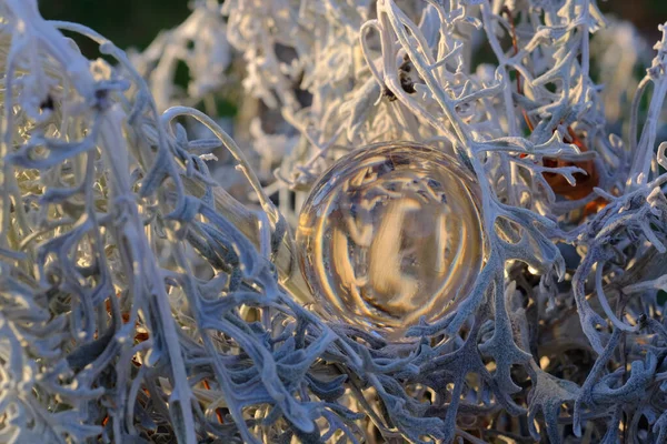 Macro Closeup Τύχη Tellers Μαγική Γυάλινη Κρυστάλλινη Σφαίρα Στη Φύση — Φωτογραφία Αρχείου