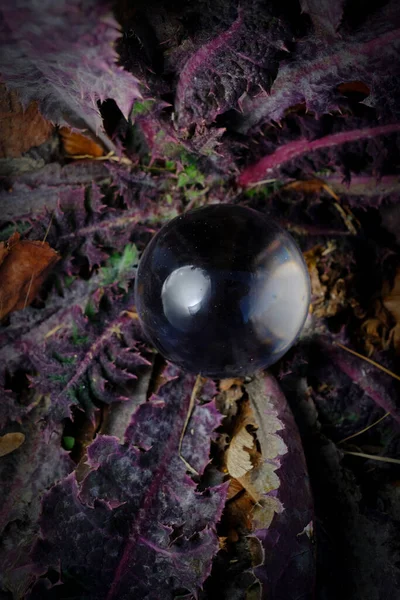 Macro Primi Piani Indovini Sfera Cristallo Vetro Magico Natura — Foto Stock