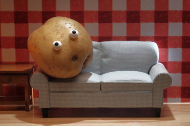Lazy couch potato living room sofa concept