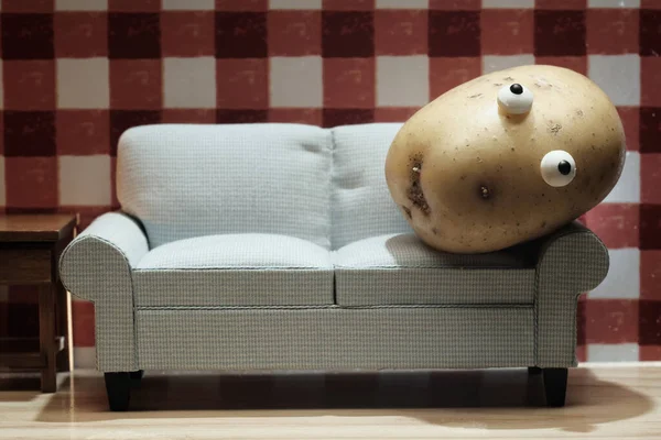 Lazy Couch Potato Living Room Sofa Concept — Stok fotoğraf