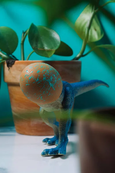 Silly Stubborn Dinosaur Hatching Egg Head Stuck — ストック写真