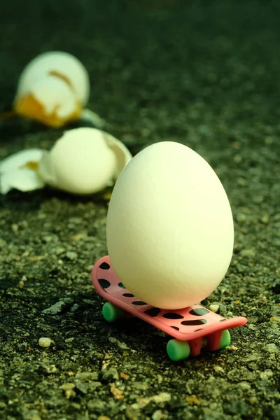 Egg Riding Skateboard Metaphor Learning Making Mistakes — Stockfoto