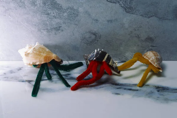 Dried Pipe Cleaner Hermit Crabs Shells Concept — Stockfoto