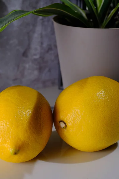 Bodegón Limones Encimera Cocina Mármol Con Maceta —  Fotos de Stock