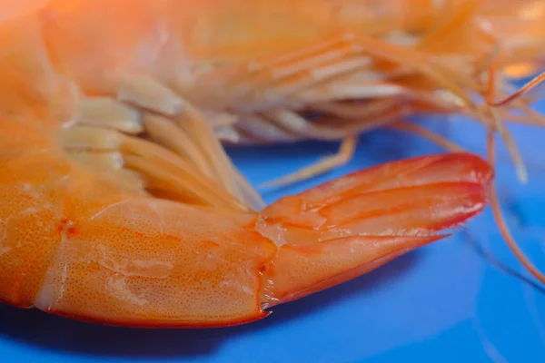 Macro Closeup Whole Steamed Shrimp Blue Background — ストック写真