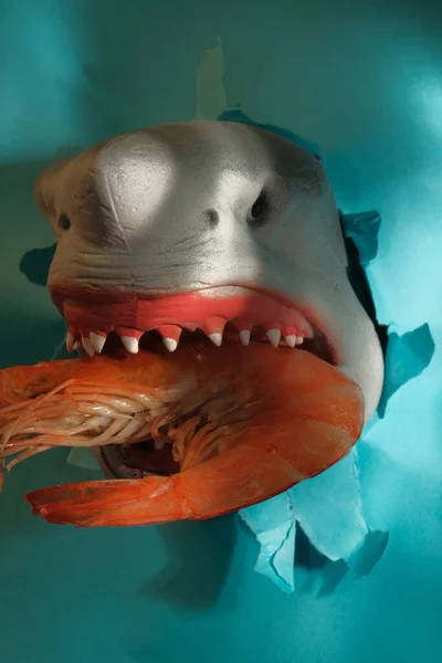Closeup Shark Eating Giant Jumbo Shrimp Concept — Stockfoto