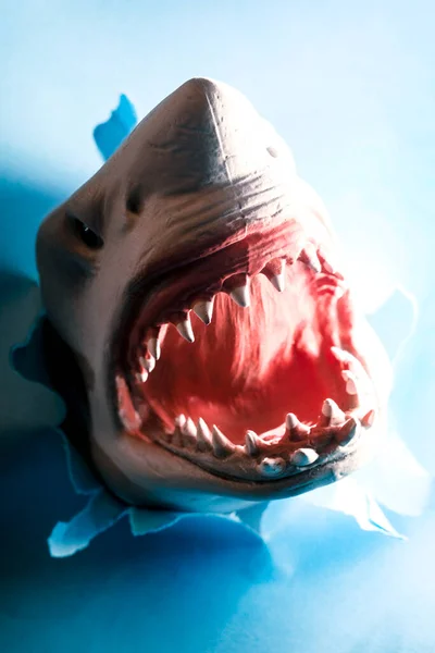 Closeup Scary Toy Great White Shark Attack — Fotografia de Stock
