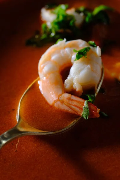 Gourmet Shrimp Bisque Soup Dark Moody Atmospheric Lighting — Photo