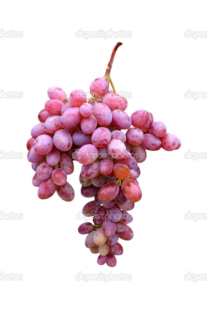 Grape fruit isolated on white background
