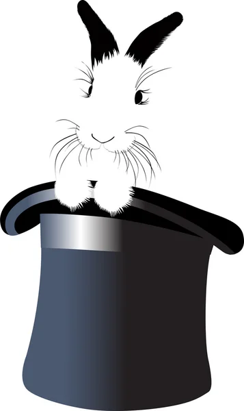 Rabbit with a hat — Stock Vector