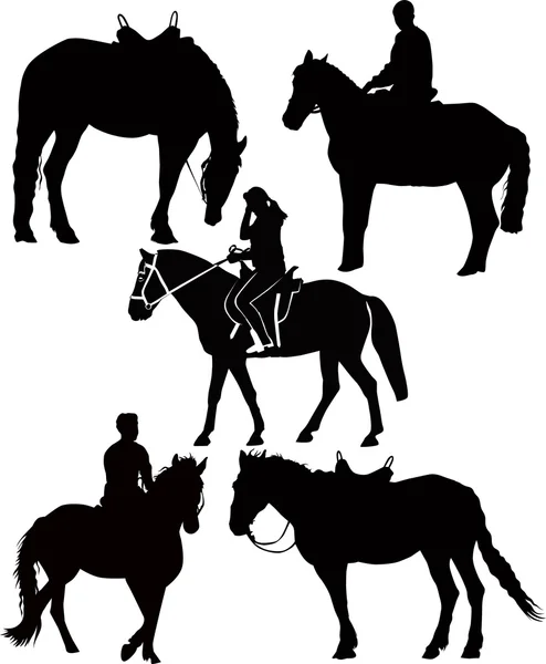 Equestrian sport — Stock Vector