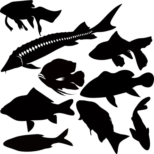 Fish vector isolated on white background Royalty Free Stock Vectors