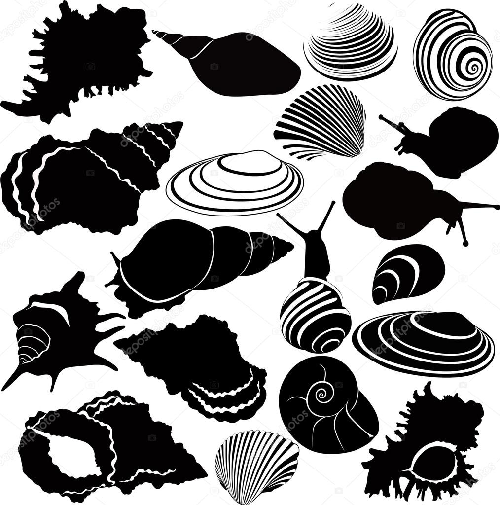 Variety of snails