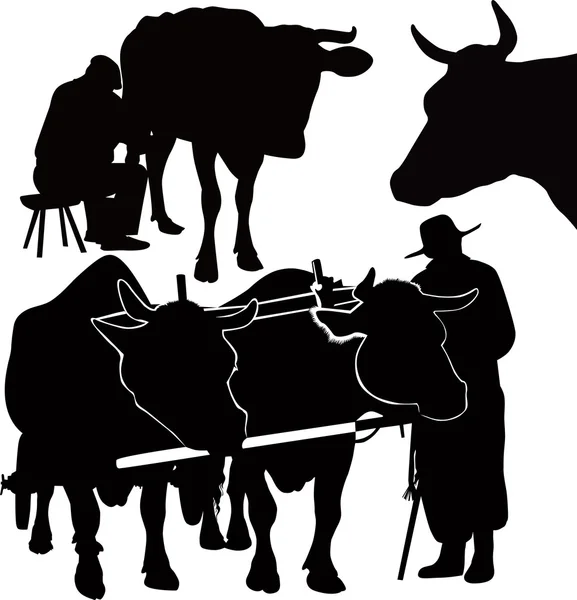 Agricultor y vacas — Vector de stock