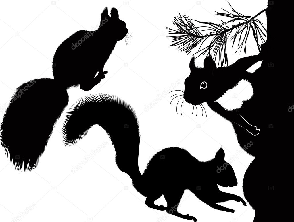 Three squirrels Stock Vector Image by ©weter777 13652872