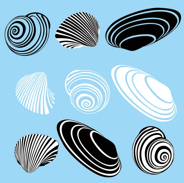 Coquille d'un escargot — Image vectorielle