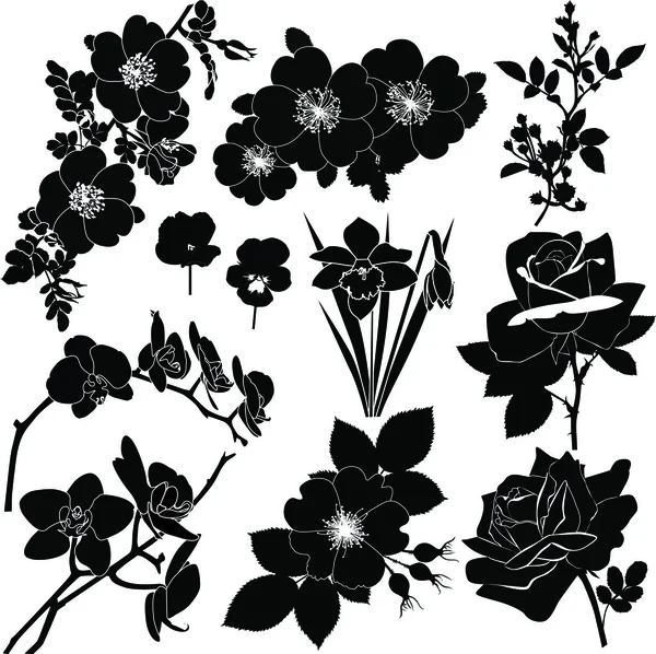 Flora set — Stock Vector