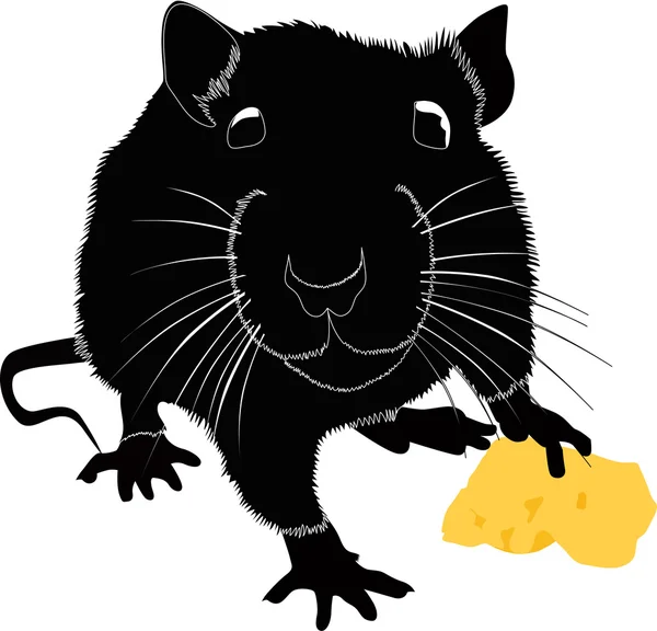 Ποντίκια με τυρί — Διανυσματικό Αρχείο