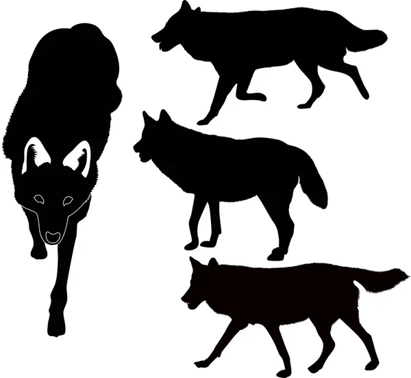 Wolves — Stock Vector
