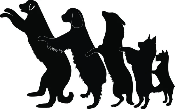 Danse des chiens — Image vectorielle