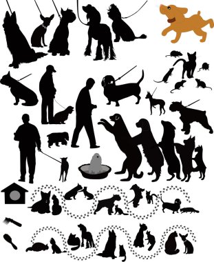 Kediler ve köpekler