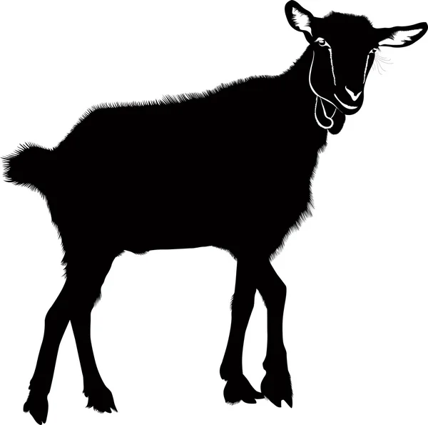 Chico cabra — Archivo Imágenes Vectoriales