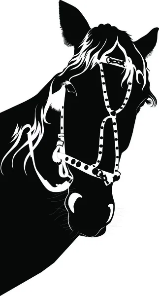 Koń zwierzę — Wektor stockowy