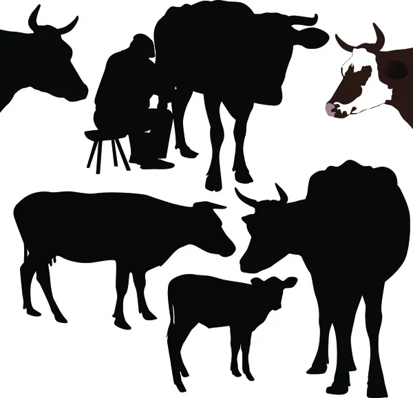 Αγελάδα ζώα — Διανυσματικό Αρχείο