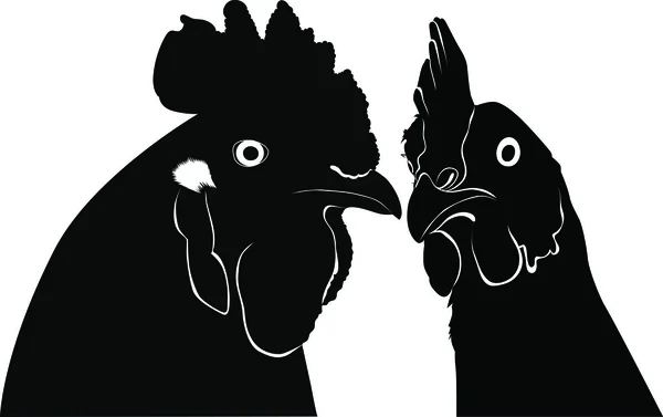 Cock and hen — Stock Vector