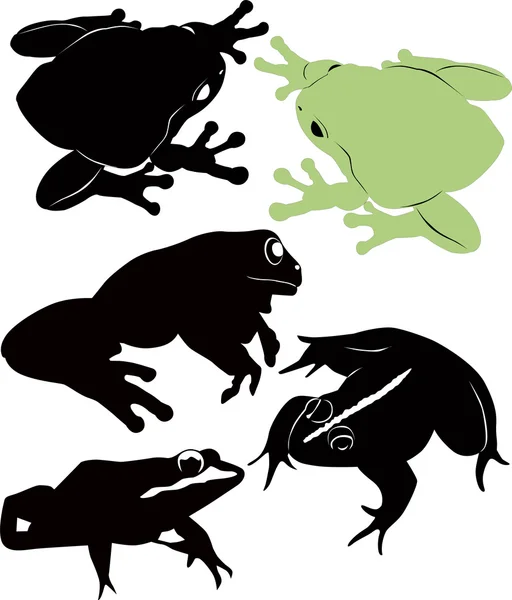 Frog isolated on white background — Stock Vector