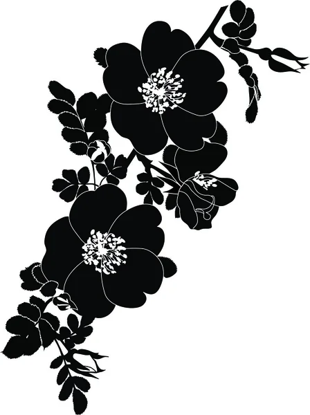 Hondsroos bloemen — Stockvector