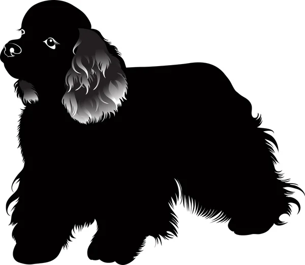 Cocker spaniel dog — Stock Vector