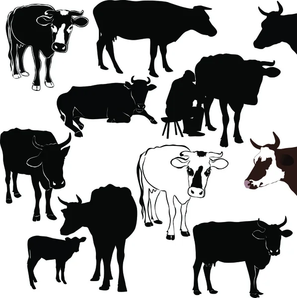 Conjunto de vacas — Archivo Imágenes Vectoriales