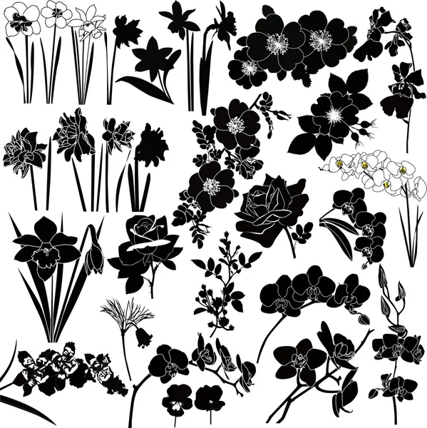 Collection of flowers — Stock Vector