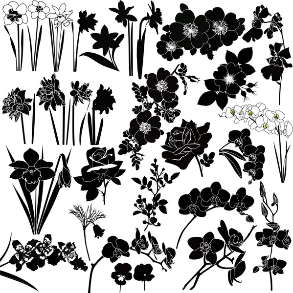 Het verzamelen van bloemen — Stockvector