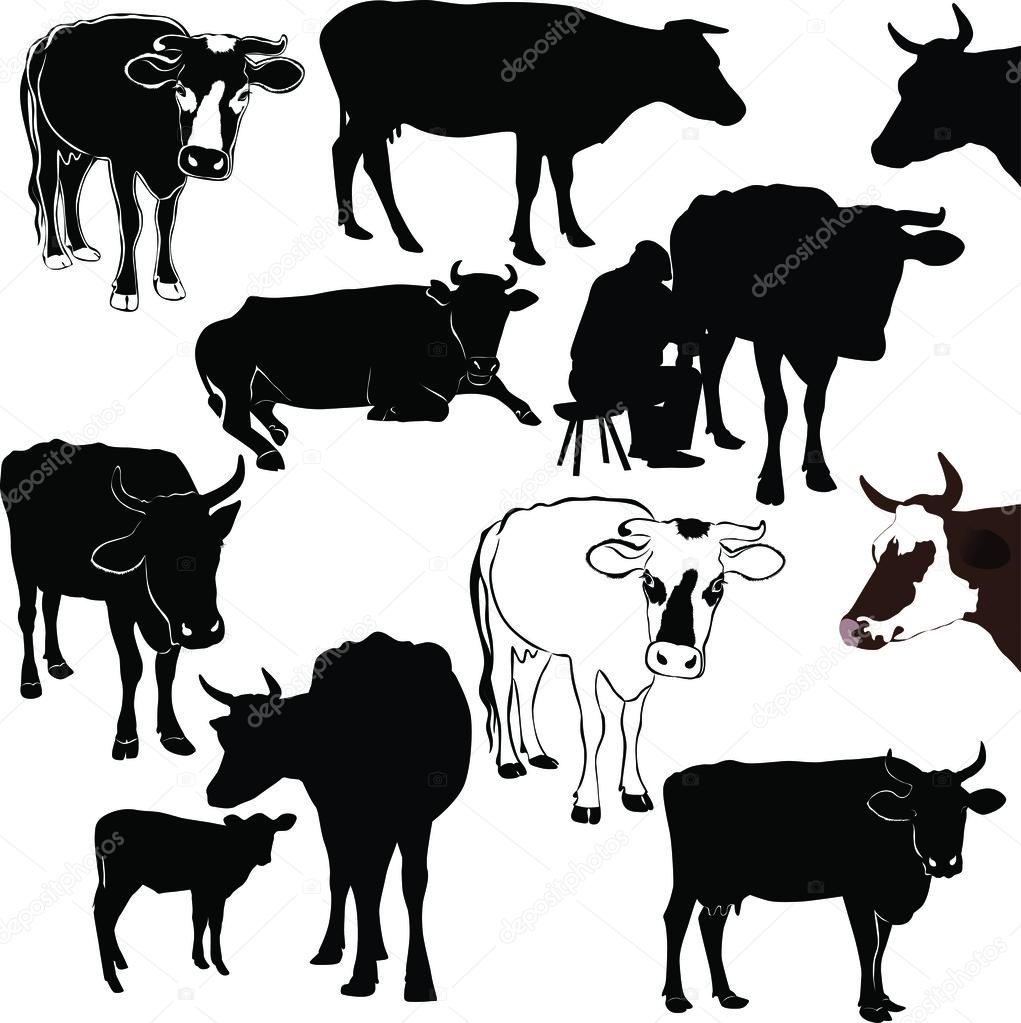 Cow set
