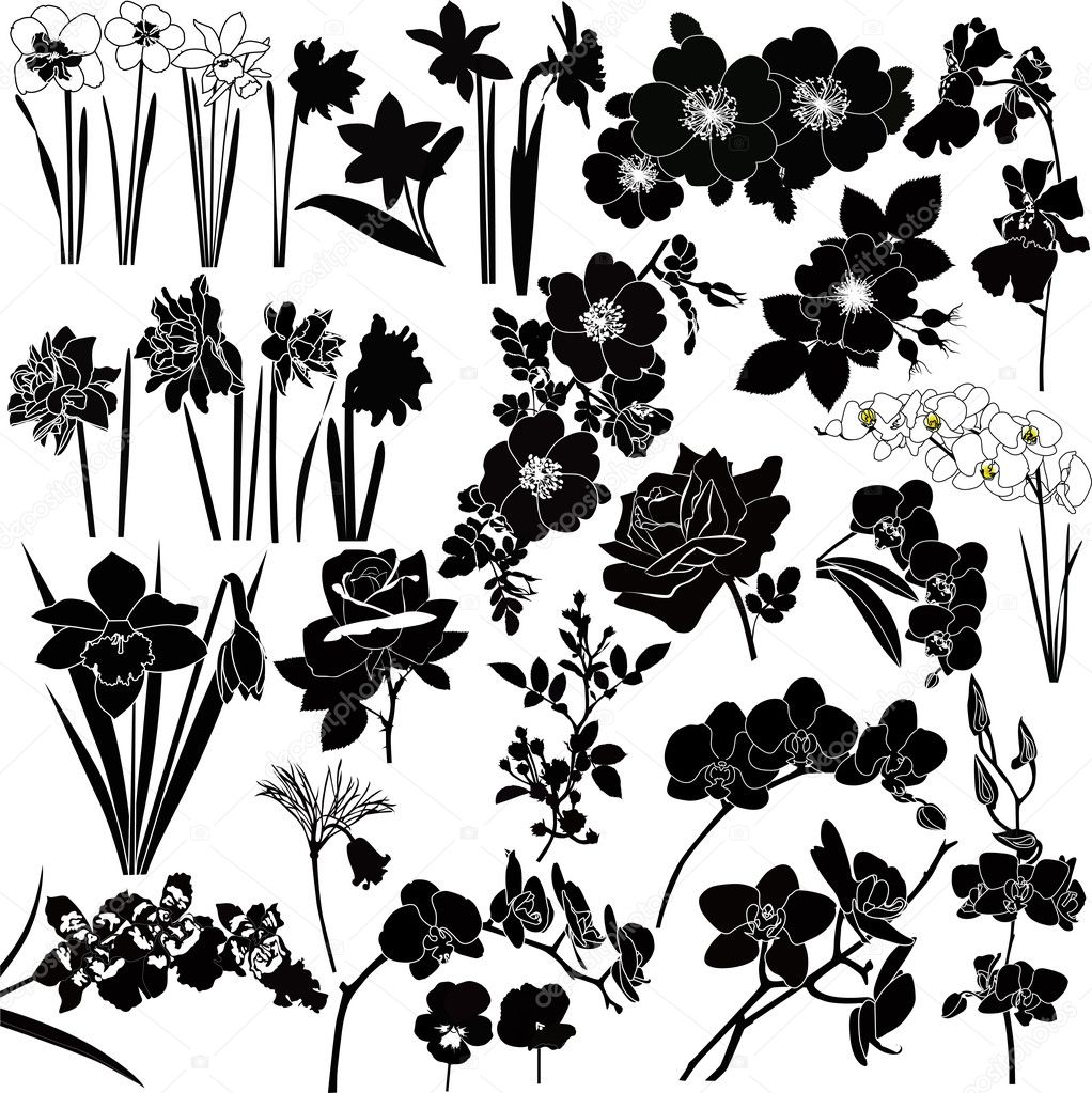 Collection of flowers