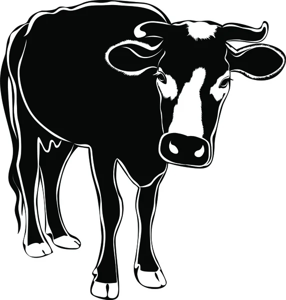 Animales de vaca — Vector de stock